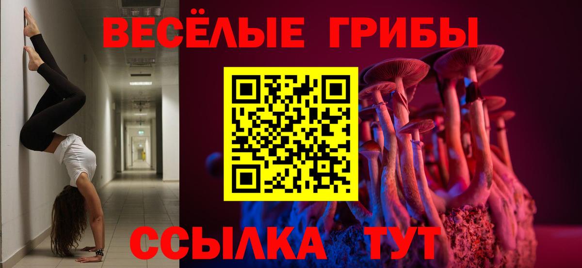 Павловский Посад  магазин продажи   Вход с VPN  Галлюциногенные грибы MAGIC MUSHROOMS  Галлюциногенные грибы GOLDEN TEACHER 